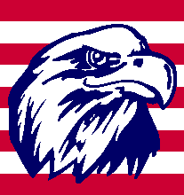 Eagle on Flag