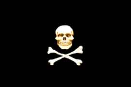Netocratic Party's Jolly Rogers