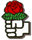 Democratic Socialists' Rose