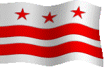 District of Columbia Territorial Flag